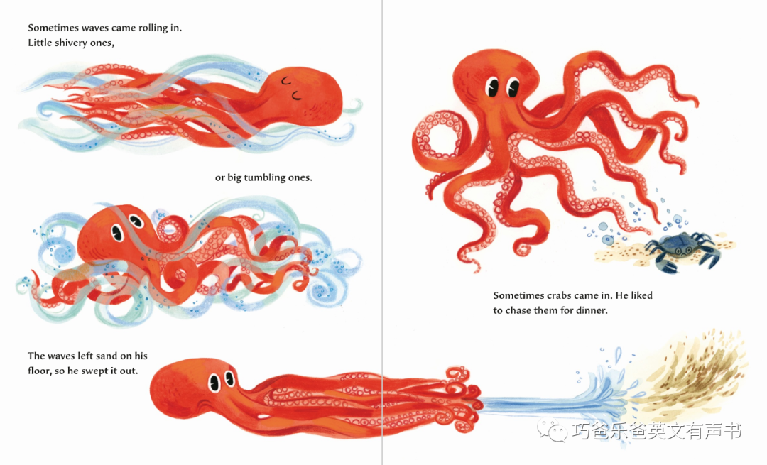 The Octopus Escapes by Maile Meloy高清绘本内页5-巧爸乐爸-绘本推荐