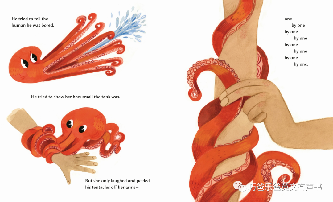 The Octopus Escapes by Maile Meloy高清绘本内页12-巧爸乐爸-绘本推荐