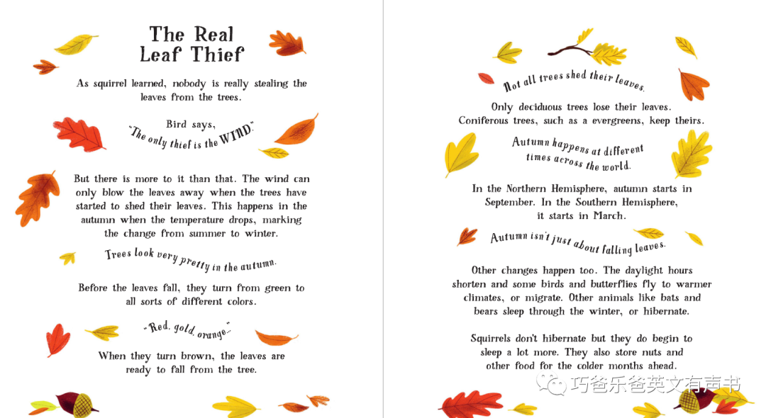 偷叶子的小贼 The Leaf Thief by Alice Hemming高清绘本内页17-巧爸乐爸-绘本推荐