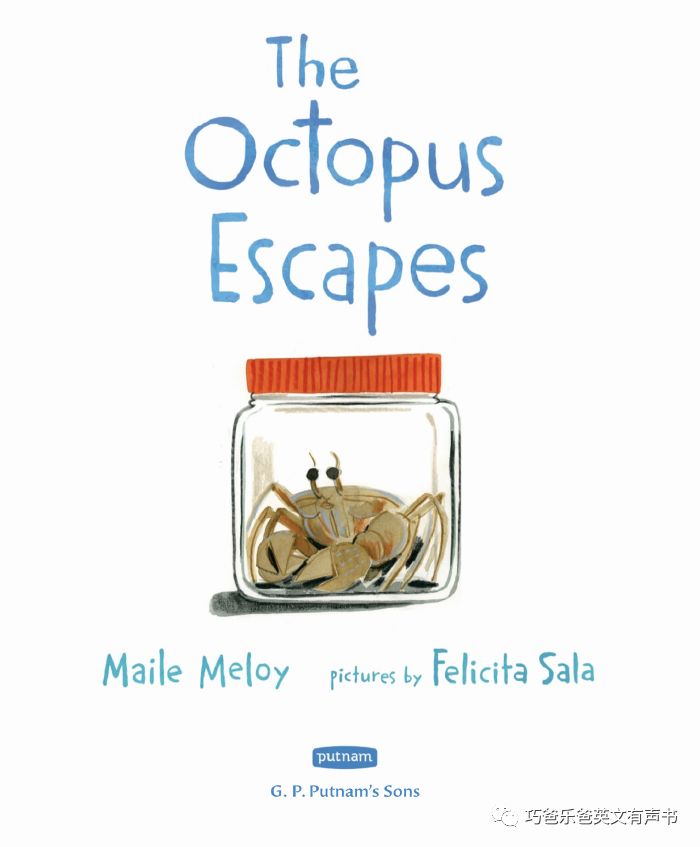The Octopus Escapes by Maile Meloy高清绘本内页2-巧爸乐爸-绘本推荐
