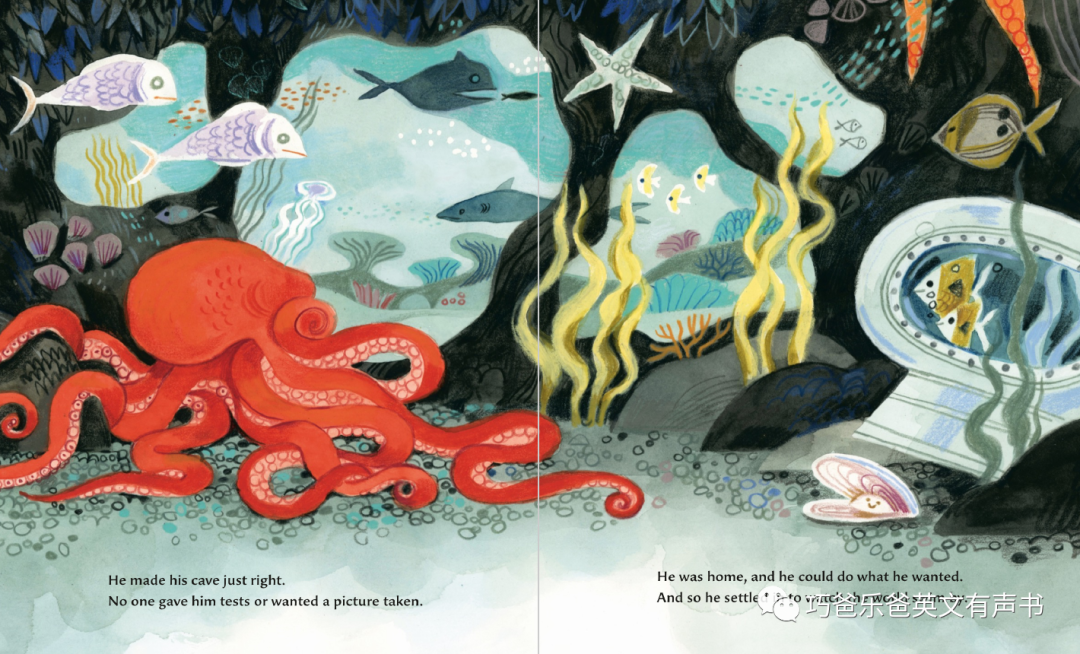 The Octopus Escapes by Maile Meloy高清绘本内页22-巧爸乐爸-绘本推荐