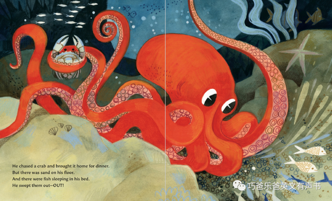 The Octopus Escapes by Maile Meloy高清绘本内页21-巧爸乐爸-绘本推荐