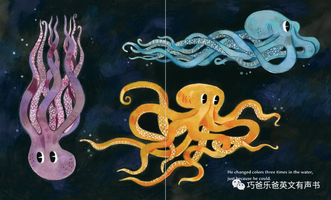 The Octopus Escapes by Maile Meloy高清绘本内页17-巧爸乐爸-绘本推荐