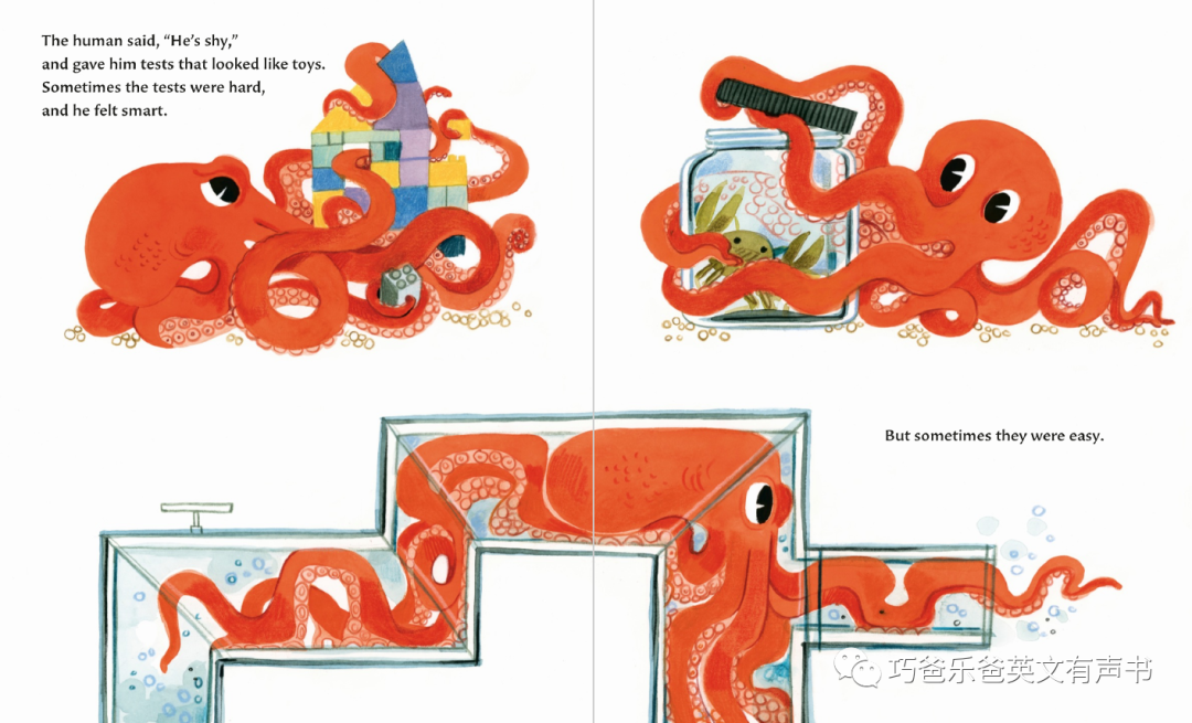 The Octopus Escapes by Maile Meloy高清绘本内页8-巧爸乐爸-绘本推荐