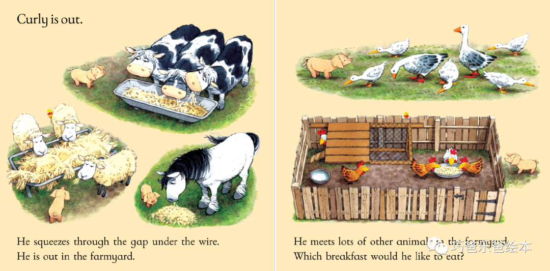 Pig Gets Stuck Usborne Farmyard Tales by Heather Amery高清绘本内页8-巧爸乐爸-绘本推荐