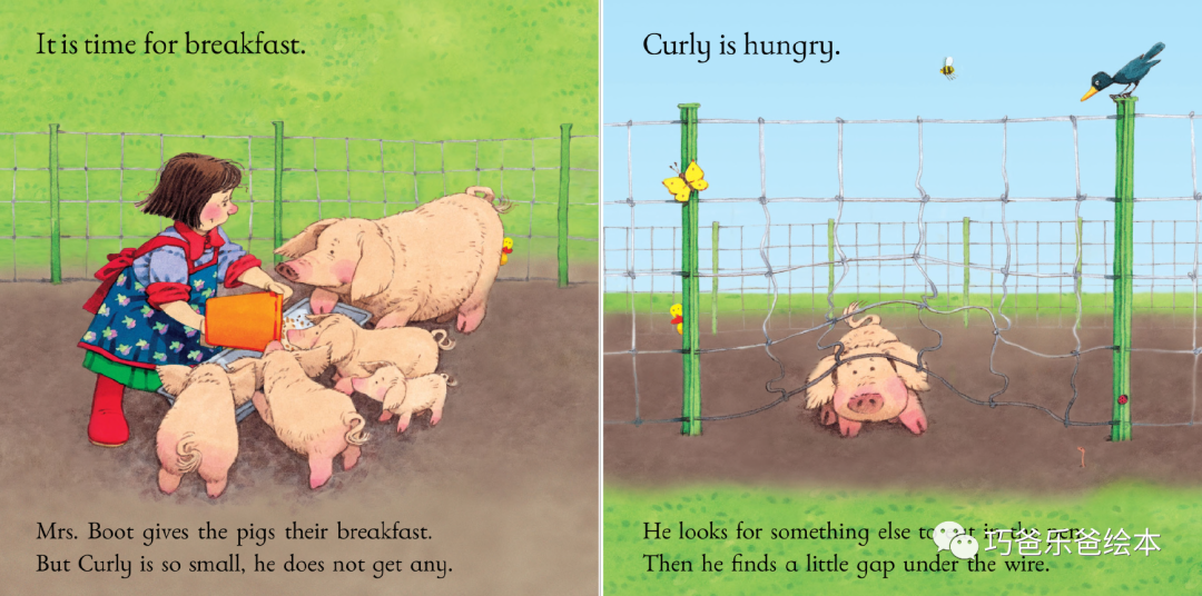 Pig Gets Stuck Usborne Farmyard Tales by Heather Amery高清绘本内页7-巧爸乐爸-绘本推荐