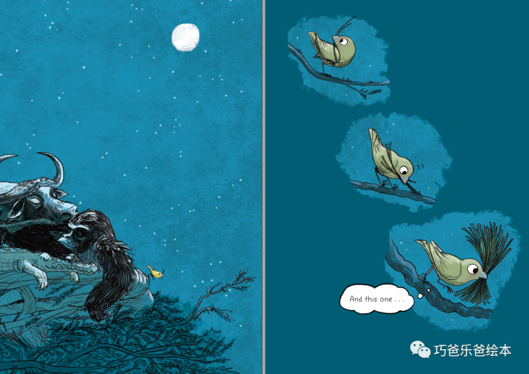 Not Your Nest! by Gideon Sterer高清绘本内页22-巧爸乐爸-绘本推荐