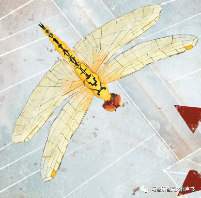 100 Bugs! A Counting Book by Kate Narita高清绘本内页2-巧爸乐爸-绘本推荐 100 Bugs! A Counting Book by Kate Narita高清绘本内页2-巧爸乐爸-绘本推荐