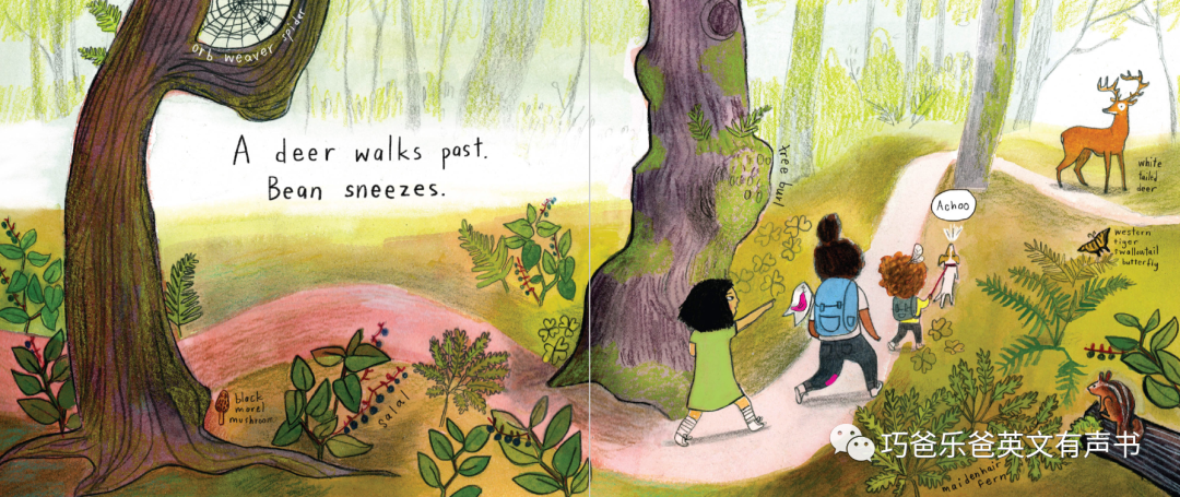 The Hike by Alison Farrell高清绘本内页15-巧爸乐爸-绘本推荐