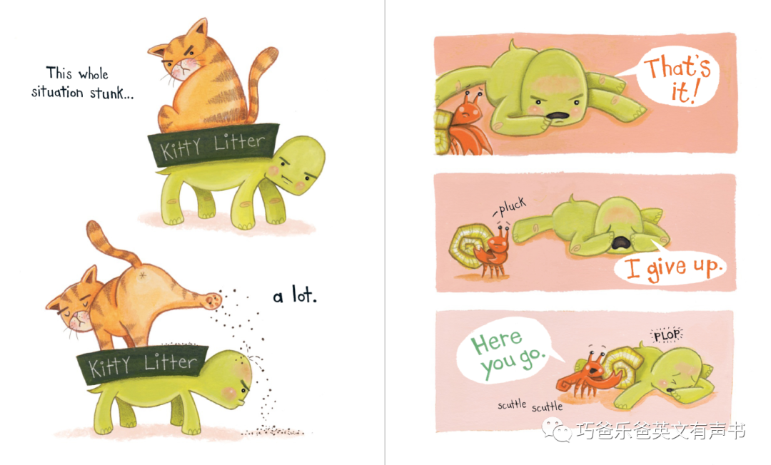 The Box Turtle by Vanessa Roeder高清绘本内页12-巧爸乐爸-绘本推荐