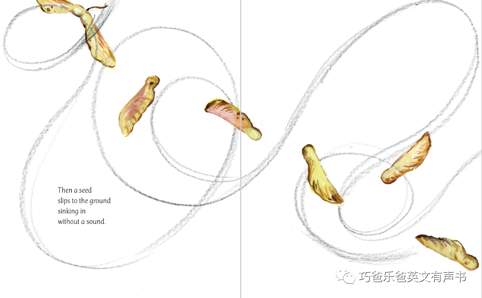 在花园 In a Garden by Tim McCanna高清绘本内页15-巧爸乐爸-绘本推荐