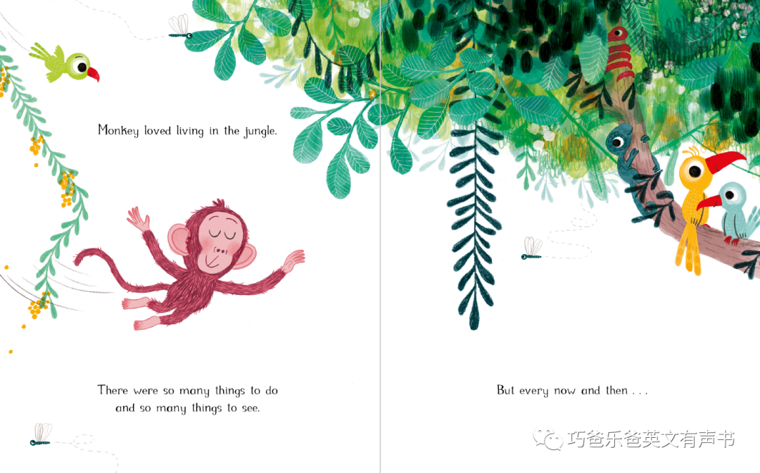 Little Monkey  by Marta Altes高清绘本内页6-巧爸乐爸-绘本推荐
