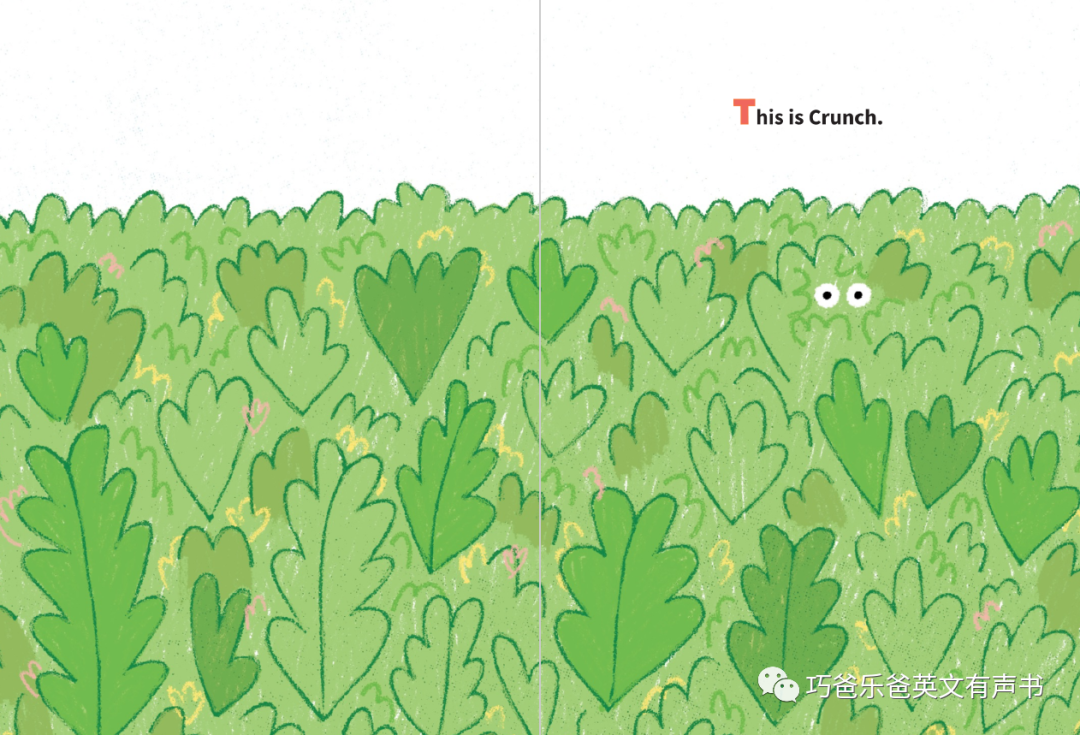 那只害羞的恐龙 Crunch the Shy Dinosaur by Cirocco Dunlap高清绘本内页6-巧爸乐爸-绘本推荐