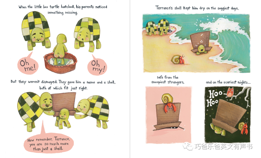 The Box Turtle by Vanessa Roeder高清绘本内页4-巧爸乐爸-绘本推荐