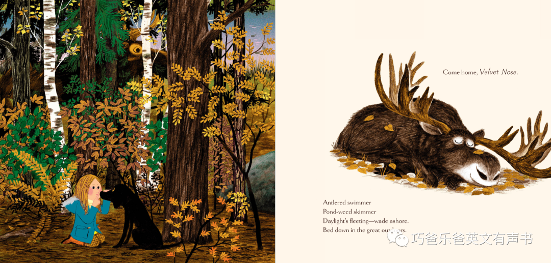 Woodland Dreams by Karen Jameson高清绘本内页5-巧爸乐爸-绘本推荐