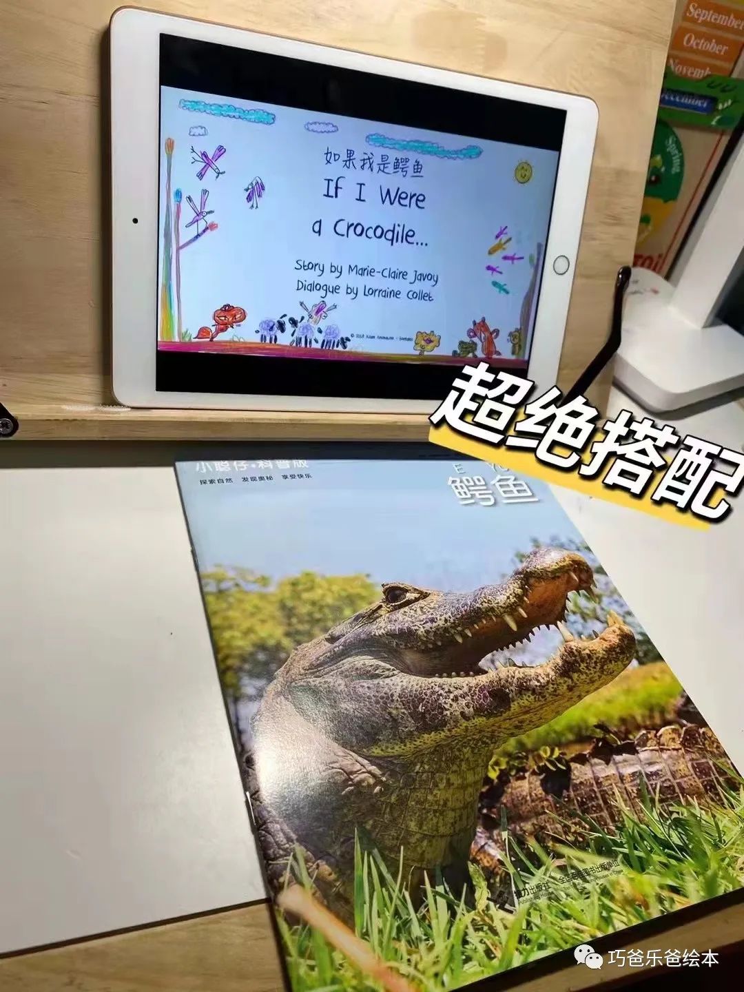 接力 小聪仔科普版 过刊团购日高清绘本内页6-巧爸乐爸-绘本推荐