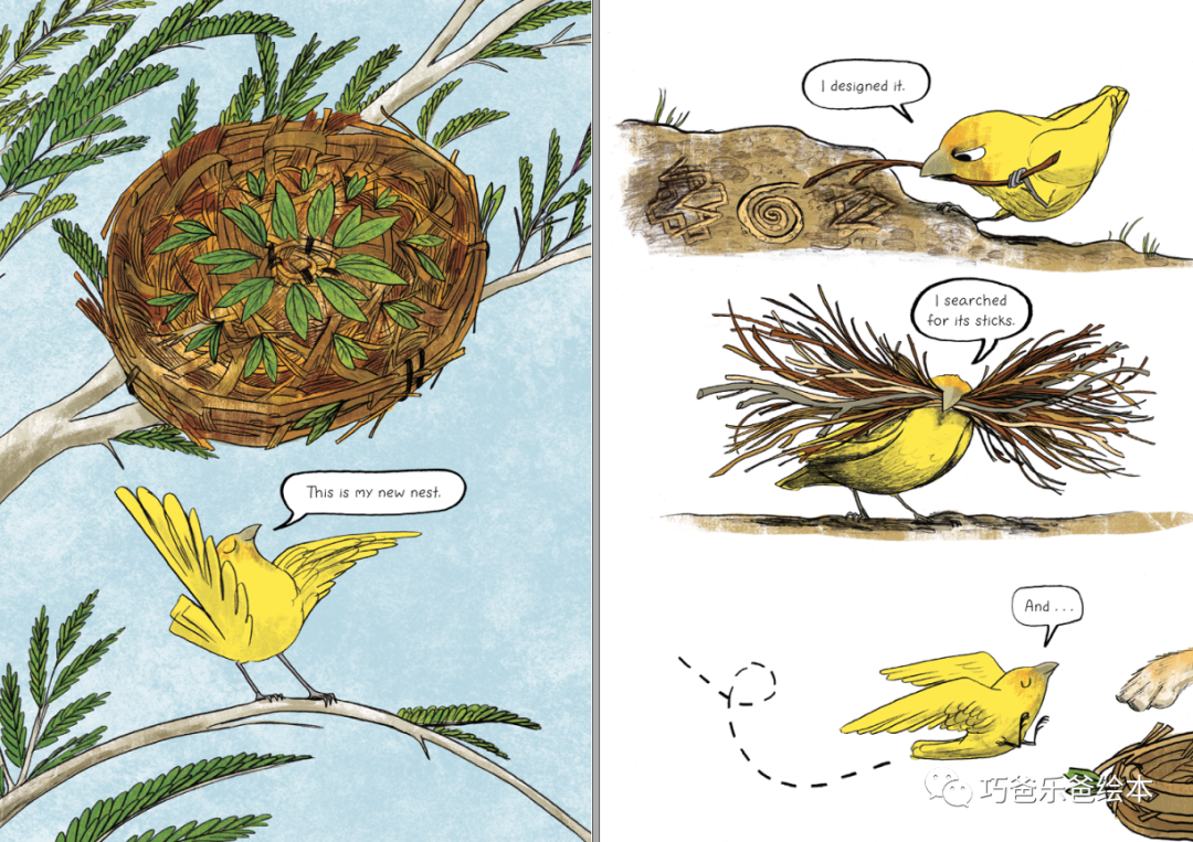 Not Your Nest! by Gideon Sterer高清绘本内页7-巧爸乐爸-绘本推荐