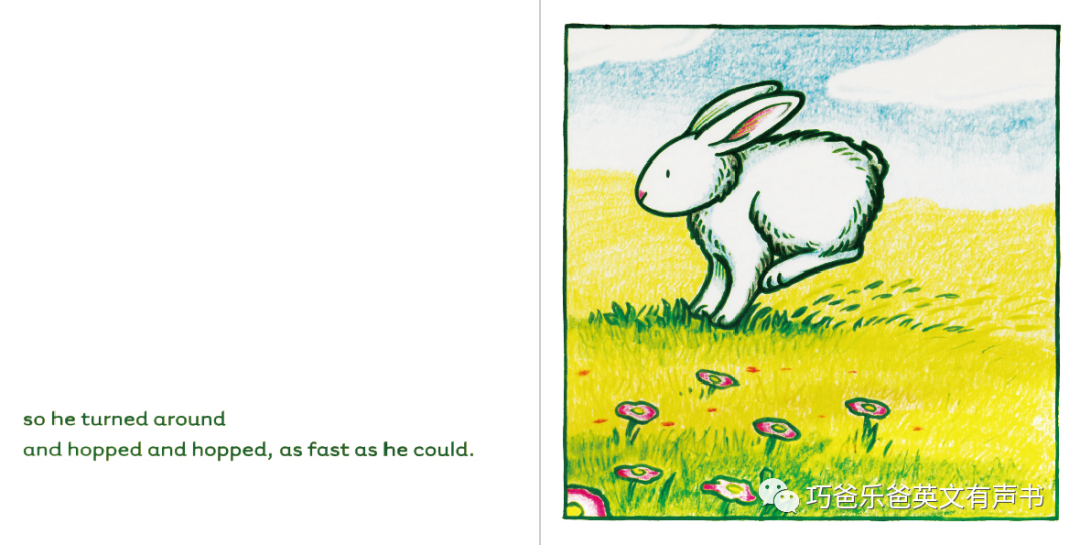 经典绘本 小白兔 Little White Rabbit by Kevin Henkes高清绘本内页11-巧爸乐爸-绘本推荐