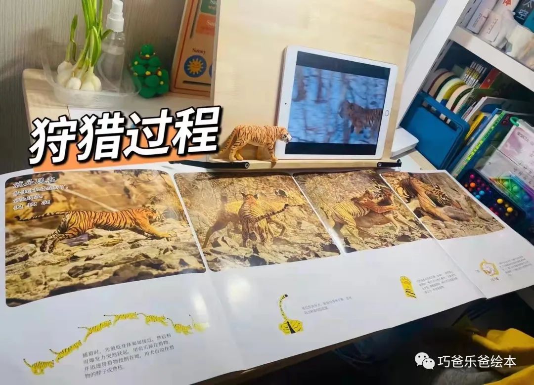接力 小聪仔科普版 过刊团购日高清绘本内页4-巧爸乐爸-绘本推荐