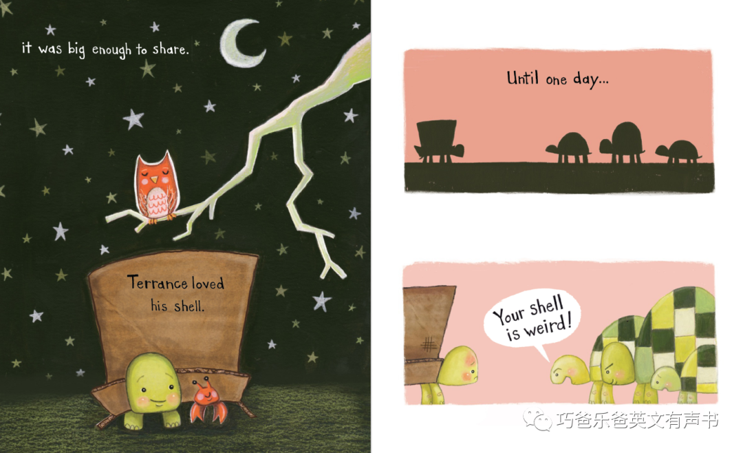 The Box Turtle by Vanessa Roeder高清绘本内页5-巧爸乐爸-绘本推荐