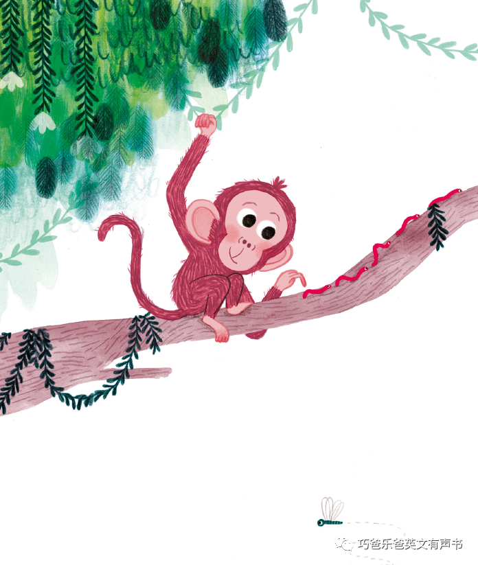 Little Monkey by Marta Altes高清绘本内页2-巧爸乐爸-绘本推荐 Little Monkey by Marta Altes高清绘本内页2-巧爸乐爸-绘本推荐