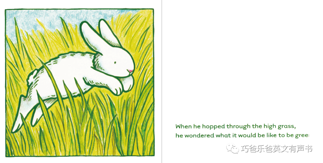 经典绘本 小白兔 Little White Rabbit by Kevin Henkes高清绘本内页2-巧爸乐爸-绘本推荐
