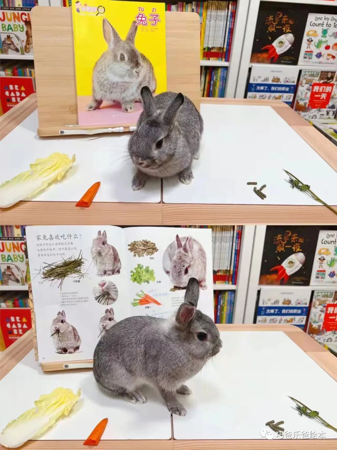 接力 小聪仔科普版 过刊团购日高清绘本内页10-巧爸乐爸-绘本推荐
